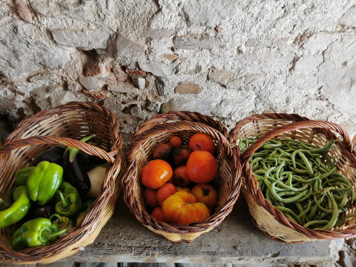 Apartamento Agroturisme Can Burgues Santa Eulàlia de Ronçana Exterior foto